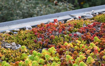 the cost of Hardington Marsh green roof installation