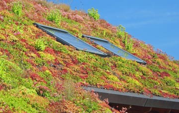 Hardington Marsh living roof systems